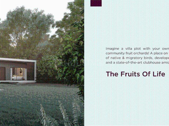 Residential Plot in Bavlu for resale Ahmedabad. The reference number is 14070596