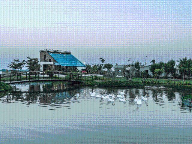 Residential Plot in Bavla for resale Ahmedabad. The reference number is 19623555