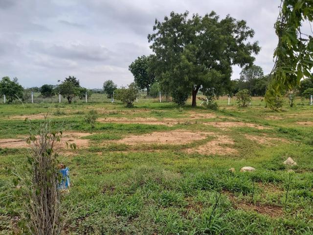 Residential Plot in Begumpet for resale Hyderabad. The reference number is 6674305