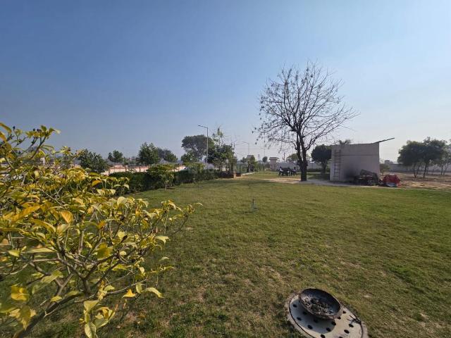 Residential Plot in Beeranwas for resale Bhiwadi. The reference number is 18723098