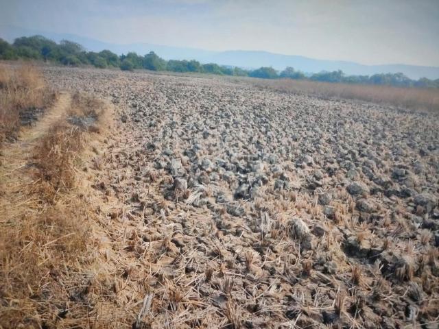 Residential Plot in Belondakhar for resale Navi Mumbai. The reference number is 16895188