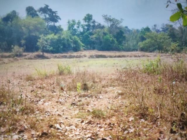 Residential Plot in Belondakhar for resale Navi Mumbai. The reference number is 16896178