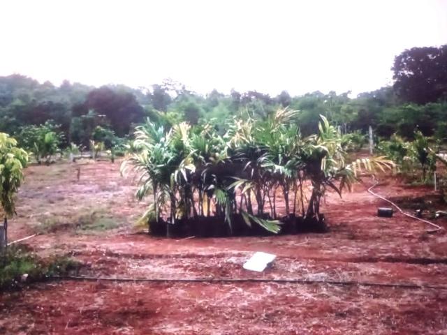 Residential Plot in Belondakhar for resale Navi Mumbai. The reference number is 17697759