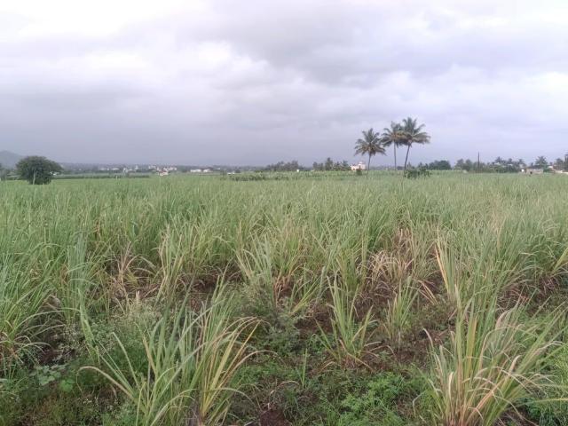 Residential Plot in Belondakhar for resale Navi Mumbai. The reference number is 17889831