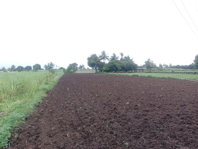 Residential Plot in Belondakhar for resale Navi Mumbai. The reference number is 17889865