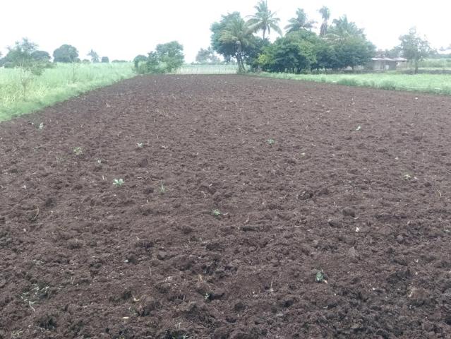 Residential Plot in Belondakhar for resale Navi Mumbai. The reference number is 17889887