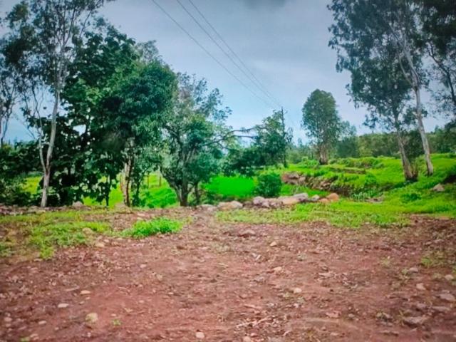Residential Plot in Belondakhar for resale Navi Mumbai. The reference number is 17290854