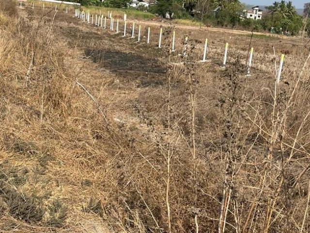 Residential Plot in Belondakhar for resale Navi Mumbai. The reference number is 19809300
