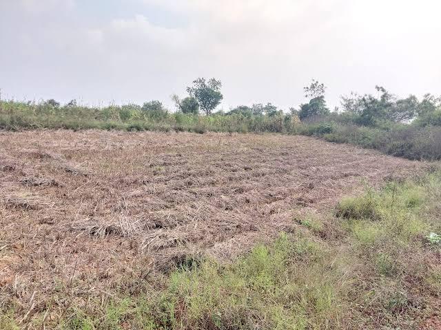 Residential Plot in Belondakhar for resale Navi Mumbai. The reference number is 19892530