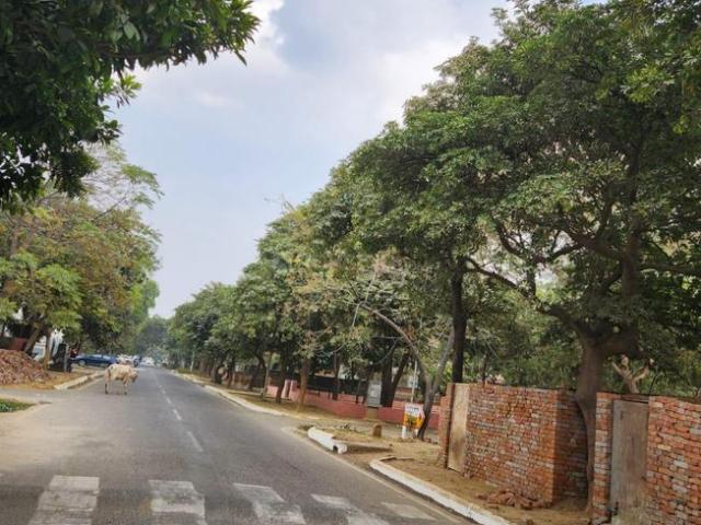 Residential Plot in Beta I for resale Greater Noida. The reference number is 19869960