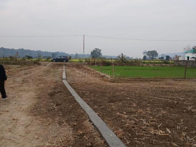 Residential Plot in Bhania Wala for resale Dehradun. The reference number is 19967761