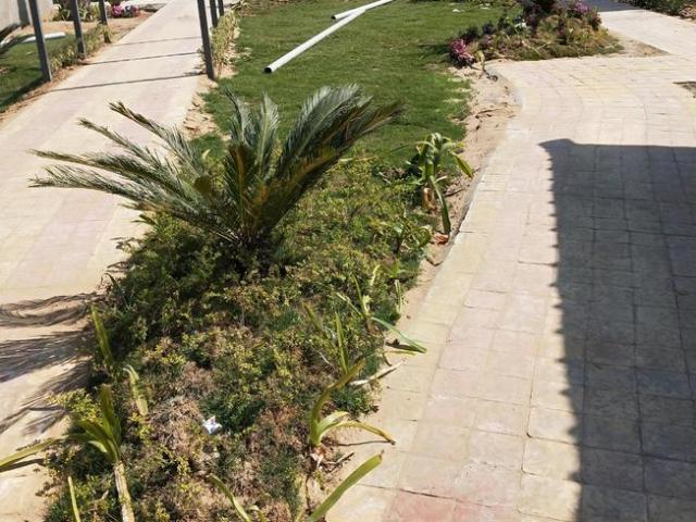 Residential Plot in Bhankrota for resale Jaipur. The reference number is 11179416