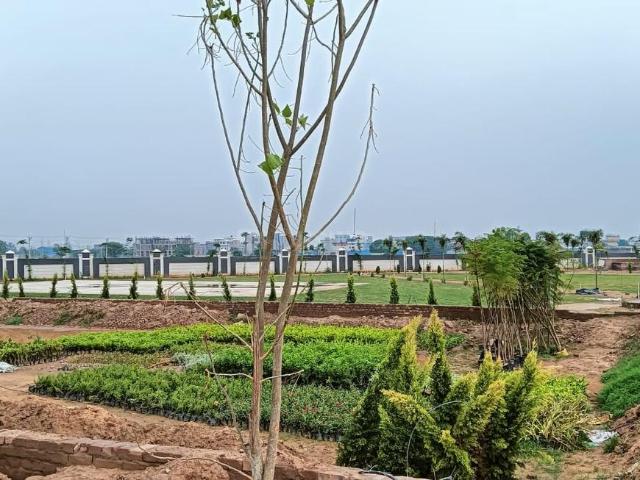 Residential Plot in Bhanoo for resale Panchkula. The reference number is 20061025