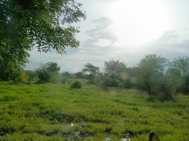 Residential Plot in Bhagur Rural for resale Nashik. The reference number is 17862861