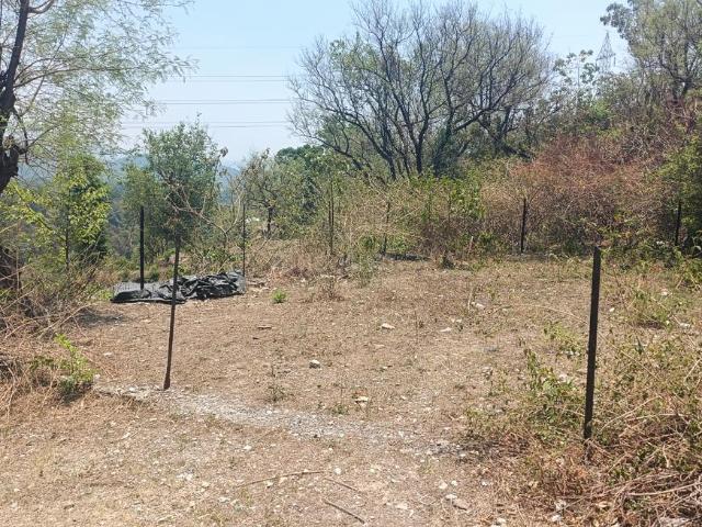 Residential Plot in Bhagwant Pur for resale Dehradun. The reference number is 14656843