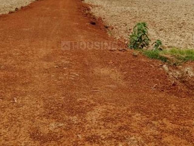 Residential Plot in Bhagawanpur for resale Bhubaneswar. The reference number is 8052560
