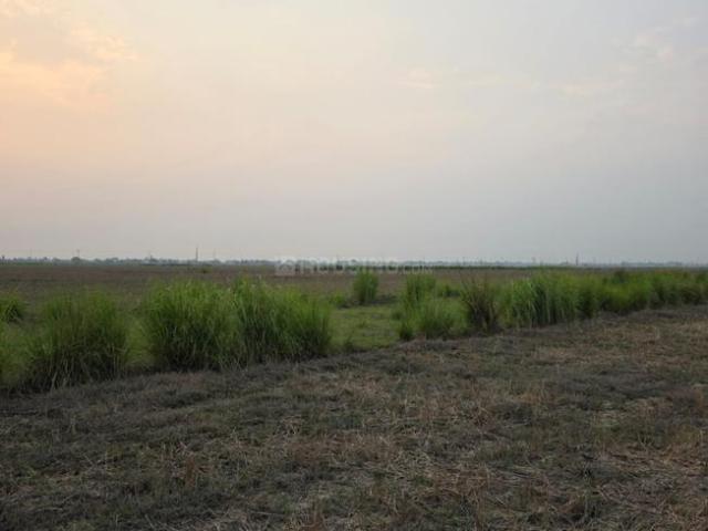 Residential Plot in Bhairopur for resale Chhapra. The reference number is 20504178