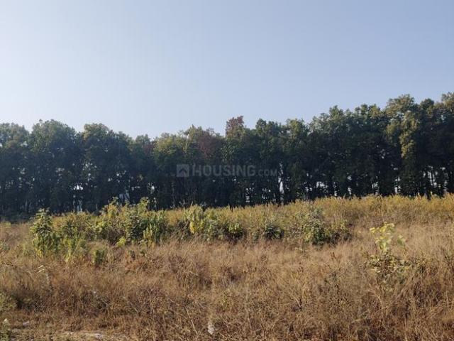 Residential Plot in Bhauwala for resale Dehradun. The reference number is 19332968
