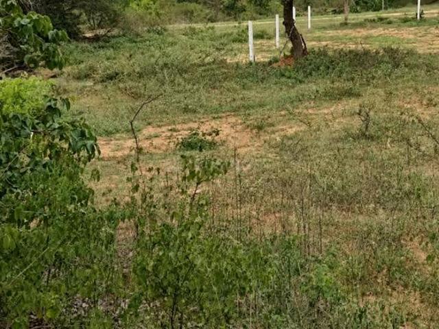 Residential Plot in Bibinagar for resale Yadadri Bhuvanagiri. The reference number is 20924937