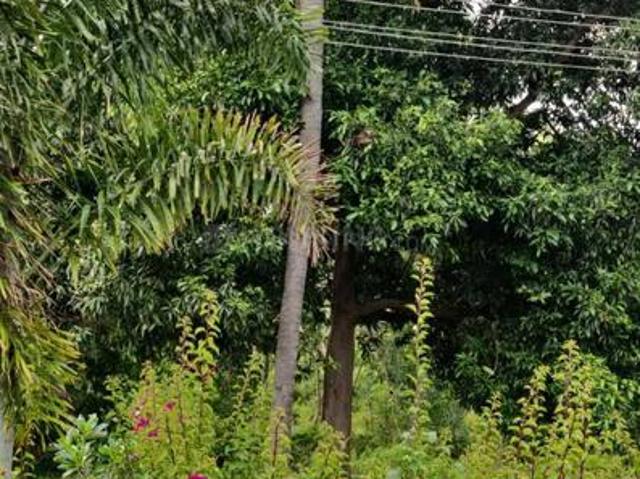 Residential Plot in Bidadi for resale Bengaluru. The reference number is 14913226