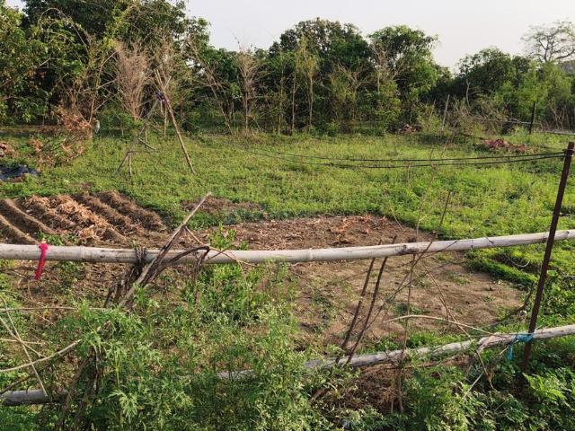 Residential Plot in Bidholi for resale Dehradun. The reference number is 20416270