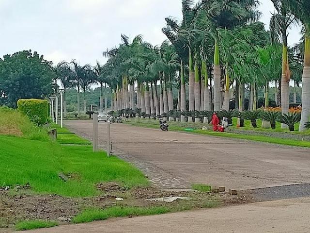 Residential Plot in Bihdia for resale Indore. The reference number is 13732135