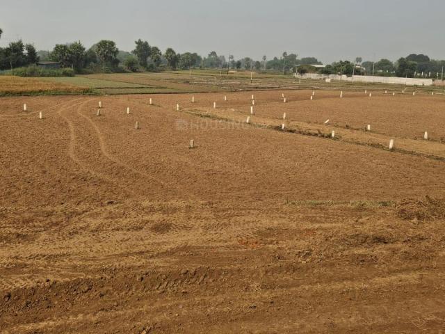 Residential Plot in Bihta for resale Patna. The reference number is 15698140