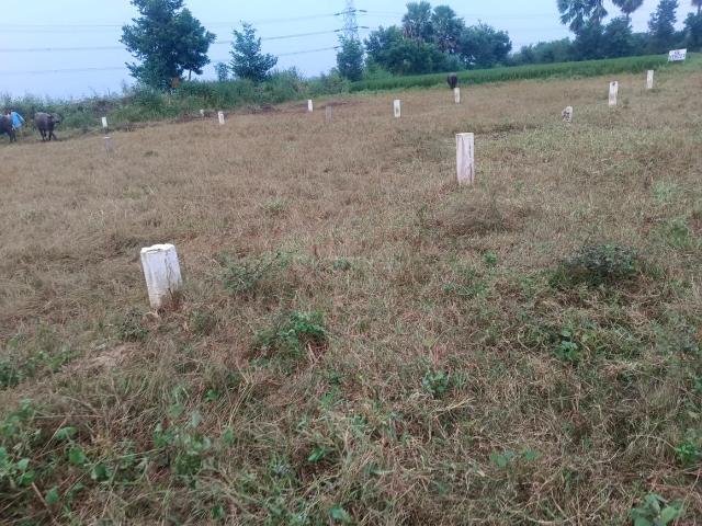 Residential Plot in Bihta for resale Patna. The reference number is 19618366