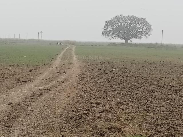 Residential Plot in Bihta for resale Patna. The reference number is 20060797