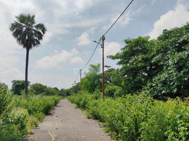 Residential Plot in Bijnor for resale Lucknow. The reference number is 20864863
