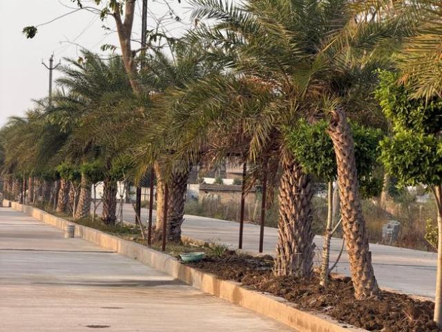 Residential Plot in Bijaur for resale Bilaspur. The reference number is 20862987