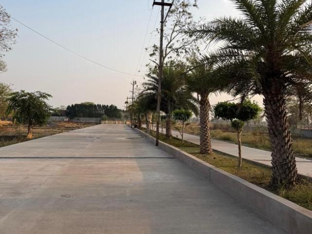 Residential Plot in Birkona for resale Bilaspur. The reference number is 20758272