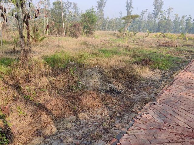 Residential Plot in Birlapur for resale Raypur. The reference number is 8684375