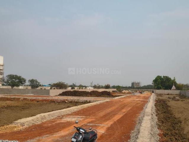 Residential Plot in Bodri for resale Bilaspur. The reference number is 19828066