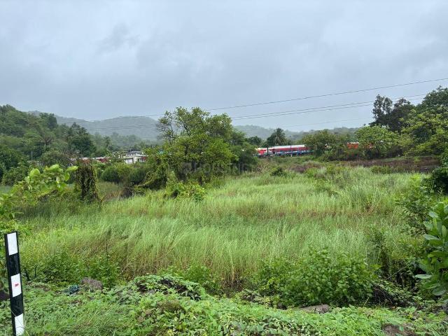 Residential Plot in Borgaon for resale Raigad. The reference number is 20606720