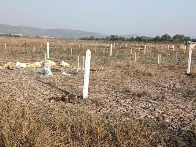 Residential Plot in Bori Bk for resale Navi Mumbai. The reference number is 20715917