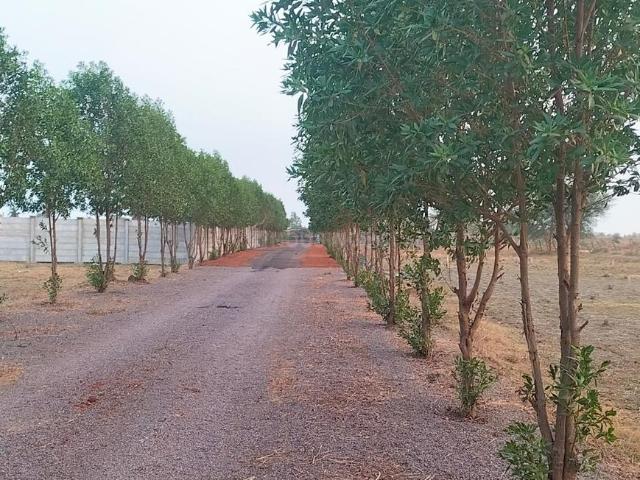 Residential Plot in Boria Kal for resale Raipur. The reference number is 20329541