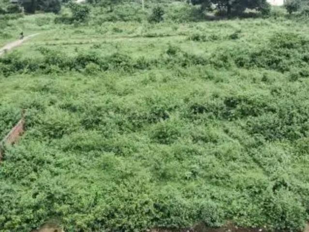 Residential Plot in Canal Road for resale Dehradun. The reference number is 18059376