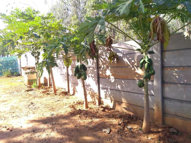 Residential Plot in Chandapura for resale Bengaluru. The reference number is 18187868