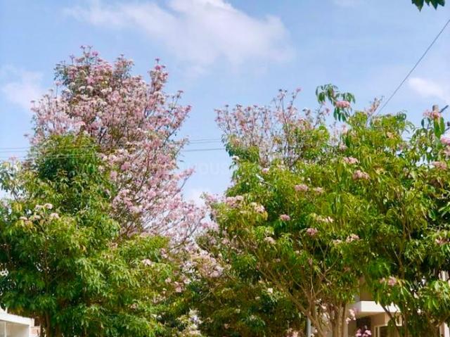 Residential Plot in Chandapura for resale Bengaluru. The reference number is 16544051