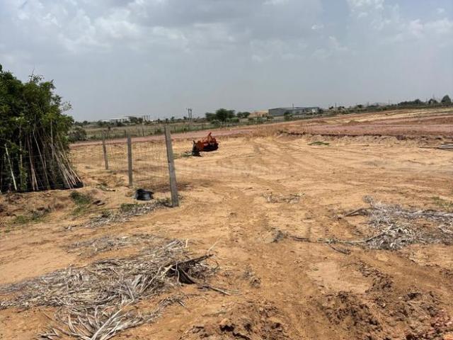 Residential Plot in Chaksu for resale Jaipur. The reference number is 20541300