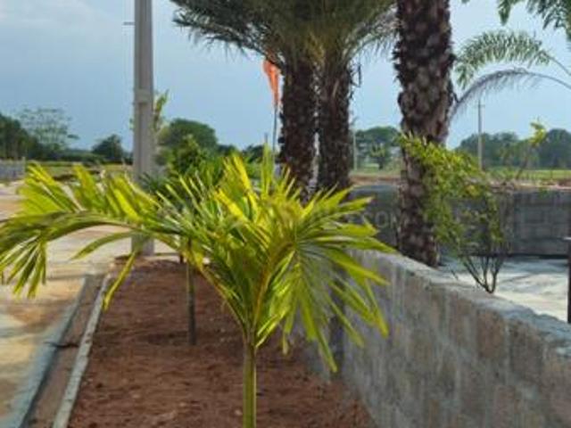 Residential Plot in Chattan Pally for resale Ranga Reddy. The reference number is 20457459