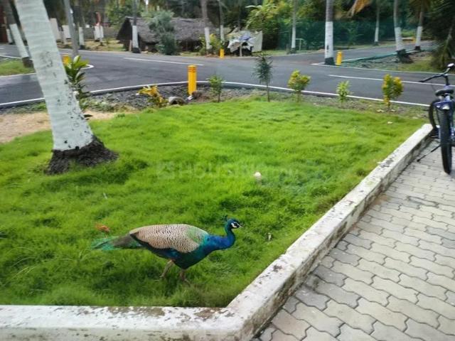 Residential Plot in Chengalpattu for resale Chennai. The reference number is 17421093