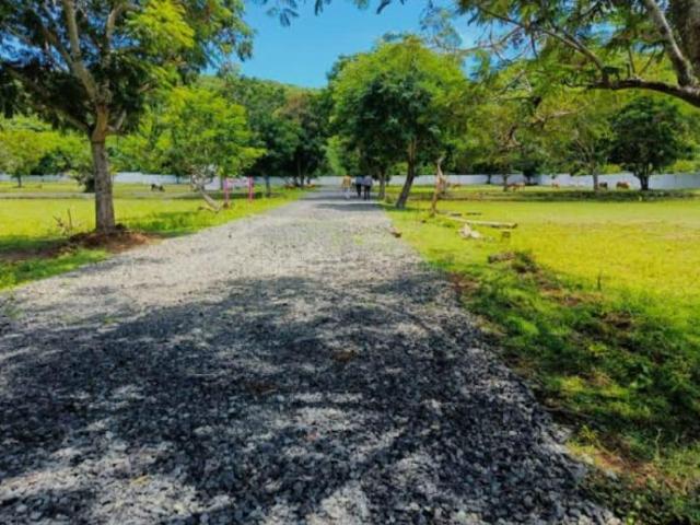 Residential Plot in Chengalpattu for resale Chennai. The reference number is 20317645