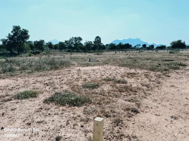 Residential Plot in Cheranmahadevi for resale Tirunelveli. The reference number is 16569747