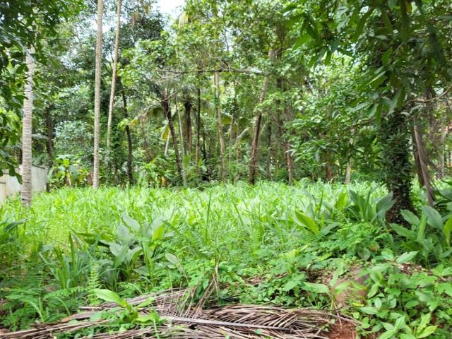 Residential Plot in Chevayur for resale Kozhikode. The reference number is 18217448