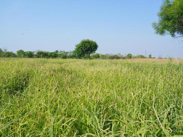 Residential Plot in Chintamani for resale Chikballapur District. The reference number is 20419870