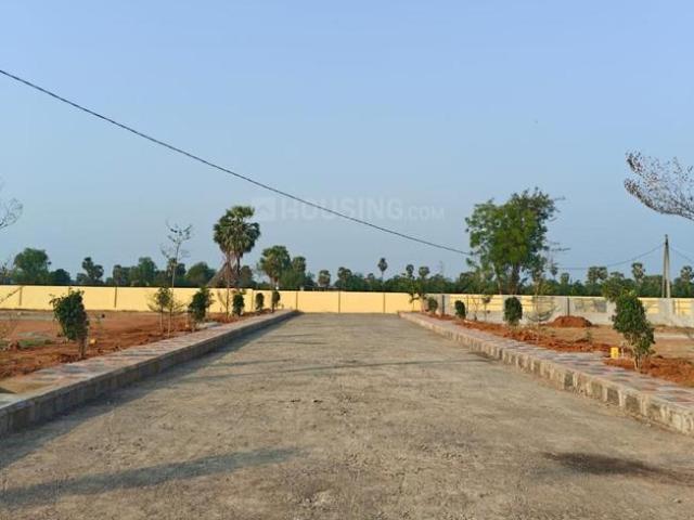 Residential Plot in China Yerukapadu for resale Gudivada. The reference number is 20010196