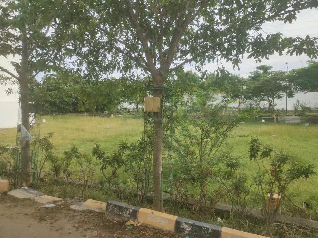 Residential Plot in Chinna Nolambur for resale Chennai. The reference number is 17971720