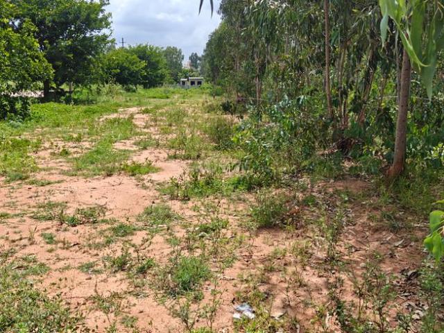 Residential Plot in Chikkajala for resale Bengaluru. The reference number is 18110934